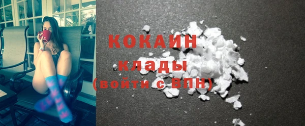 прущие грибы Белоозёрский