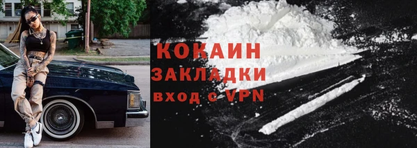 прущие грибы Белоозёрский