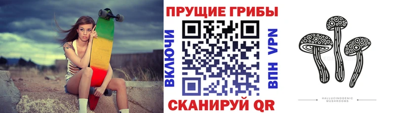 Псилоцибиновые грибы прущие грибы где продают мега онион Иркутск