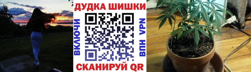 продажа наркотиков  Иркутск  Шишки марихуана гибрид 